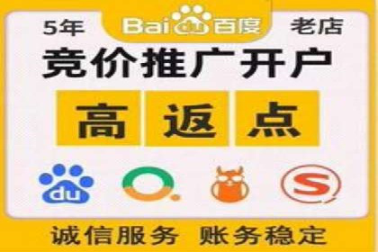 百度竞价包年推广策略深度解读与案例分析